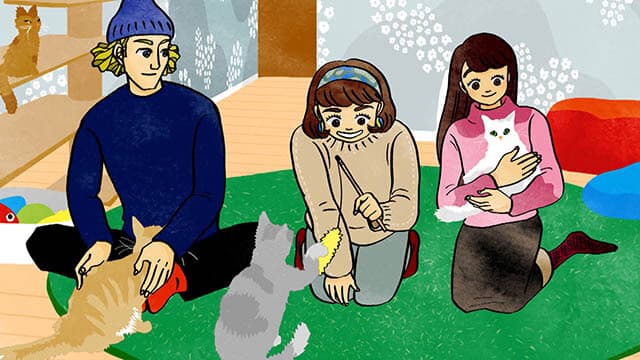 私はこの猫が好きです Мне нравится эта кошка