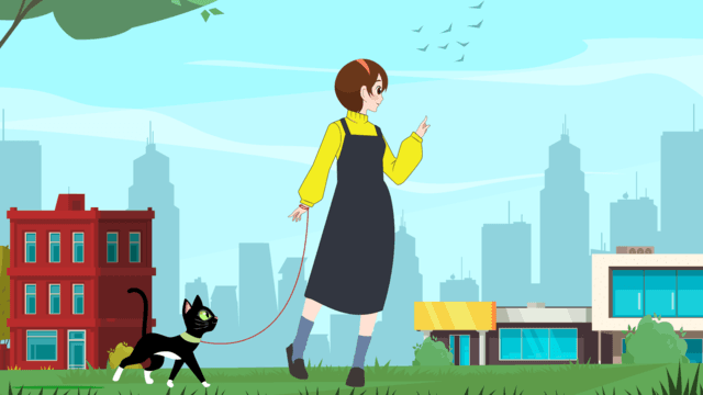 Каждый раз, когда мы встречаемся, мой кот становится больше.