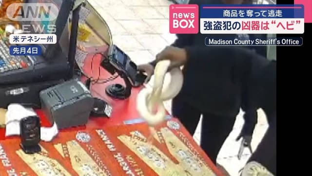 <p><ruby><rb><span class="jlpt-n3" word="強盗">強盗</span></rb><rt>ごうとう</rt></ruby><ruby><rb><span class="unknown" word="犯">犯</span></rb><rt>はん</rt></ruby>の<ruby><rb><span class="unknown" word="凶器">凶器</span></rb><rt>きょうき</rt></ruby>は“ヘビ”　<ruby><rb><span class="jlpt-n3" word="商品">商品</span></rb><rt>しょうひん</rt></ruby>を<ruby><rb>奪</rb><rt>うば</rt></ruby>って<ruby><rb><span class="jlpt-n1" word="逃走">逃走</span></rb><rt>とうそう</rt></ruby>　<ruby><rb><span class="jlpt-n4" word="米">米</span></rb><rt>べい</rt></ruby>・テネシー<ruby><rb><span class="jlpt-n3" word="州">州</span></rb><rt>しゅう</rt></ruby></p>