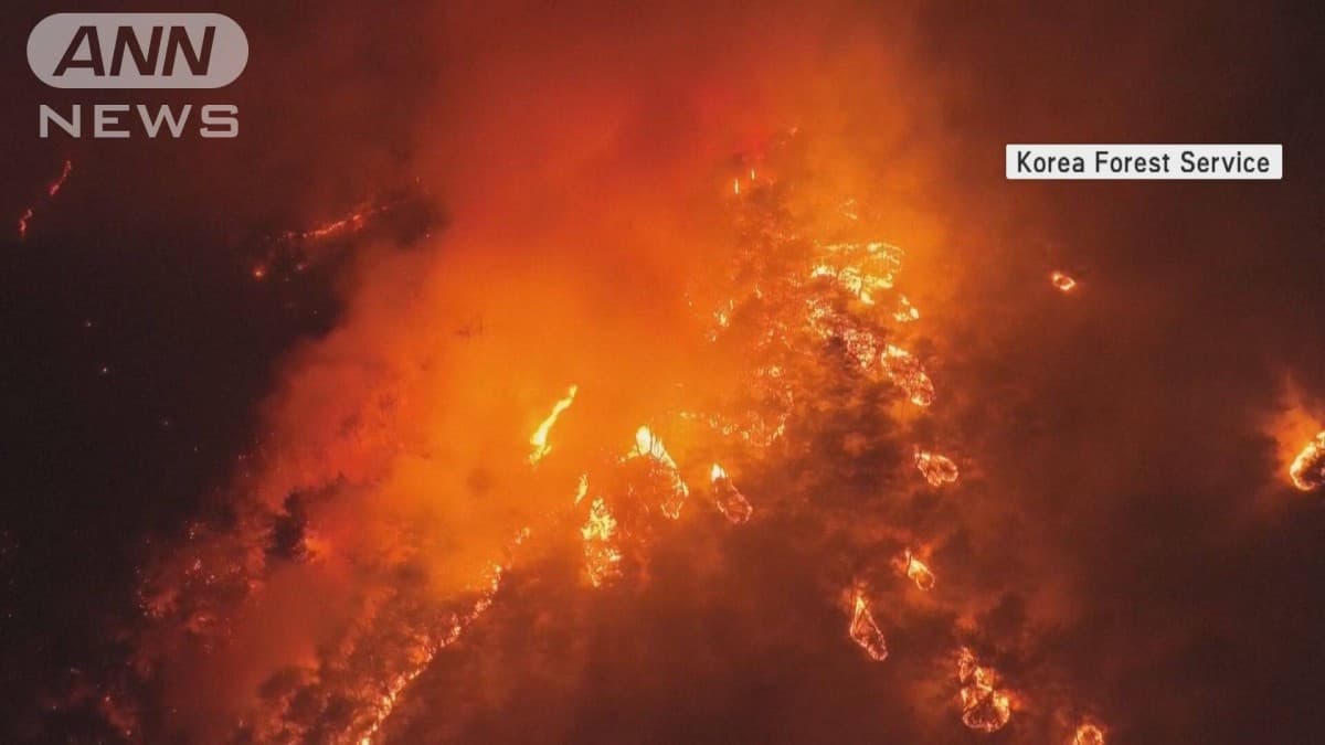 韓国でも山火事相次ぐ　死亡18人 避難2万人超