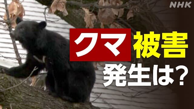 熊に人が襲われる被害　夕方から朝が多い