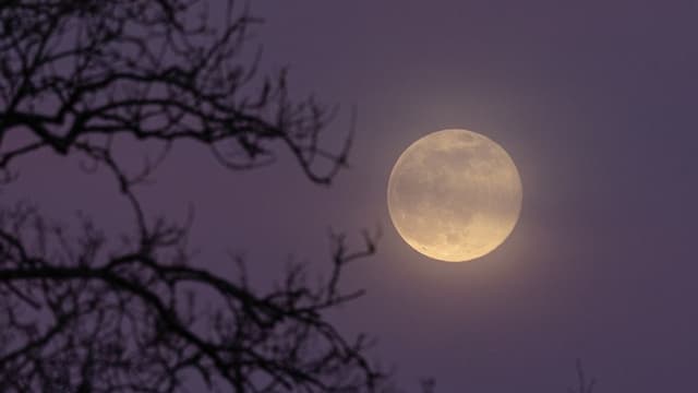 <span class="unknown" word="４月">４<ruby ><rb>月</span></rb><rt>がつ</rt></ruby>の<ruby ><rb><span class="jlpt-n1" word="満月">満月</span></rb><rt>まんげつ</rt></ruby>は「マイクロムーン」、<span class="jlpt-n5" word="いつも">いつも</span>より<ruby ><rb>小</rb><rt>ちい</rt></ruby>さく<ruby ><rb><span class="jlpt-n4" word="見える">見</rb><rt>み</rt></ruby>える</span>