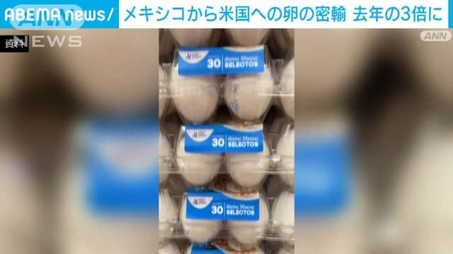 メキシコから<span class="jlpt-n4" word="アメリカ">アメリカ</span>へ<ruby ><rb><span class="jlpt-n5" word="卵">卵</span></rb><rt>たまご</rt></ruby>の<ruby ><rb><span class="unknown" word="密輸">密輸</span></rb><rt>みつゆ</rt></ruby>がふえています