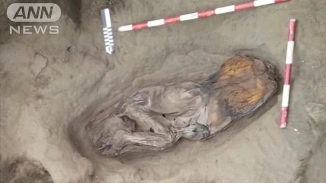 ペルーでむかしの<ruby ><rb><span class="jlpt-n5" word="女">女</span></rb><rt>おんな</rt></ruby>の<ruby ><rb><span class="jlpt-n5" word="人">人</span></rb><rt>ひと</rt></ruby>のからだを<ruby ><rb>見</rb><rt>み</rt></ruby>つけました