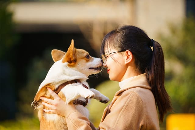 <span class="jlpt-n5" word="ペット">ペット</span>に<ruby ><rb><span class="jlpt-n5" word="話す">話</rb><rt>はな</rt></ruby>す</span>ときの<ruby ><rb><span class="jlpt-n4" word="気持ち">気持ち</span></rb><rt>きもち</rt></ruby>と<ruby ><rb><span class="jlpt-n3" word="幸せ">幸</rb><rt>しあわ</rt></ruby>せ</span>