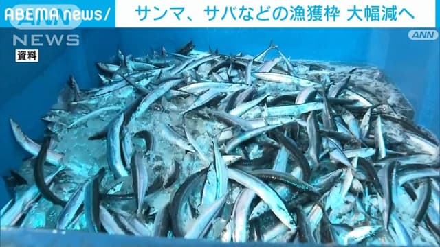 サンマとサバの<ruby ><rb><span class="unknown" word="漁獲">漁獲</span><span class="jlpt-n1" word="枠">枠</span></rb><rt>ぎょかくわく</rt></ruby>が<ruby ><rb>大</rb><rt>おお</rt></ruby>きく<ruby ><rb>減</rb><rt>へ</rt></ruby>ります