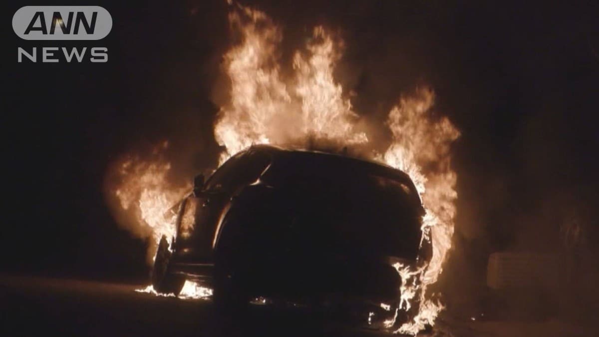 カリフォルニアで小さいひこうきがおちる