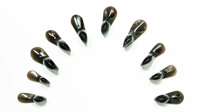 アステカの<ruby ><rb><span class="unknown" word="黒曜石">黒曜石</span></rb><rt>こくようせき</rt></ruby>は<span class="jlpt-n5" word="どこ">どこ</span>から<ruby ><rb>来</rb><rt>き</rt></ruby>たのか