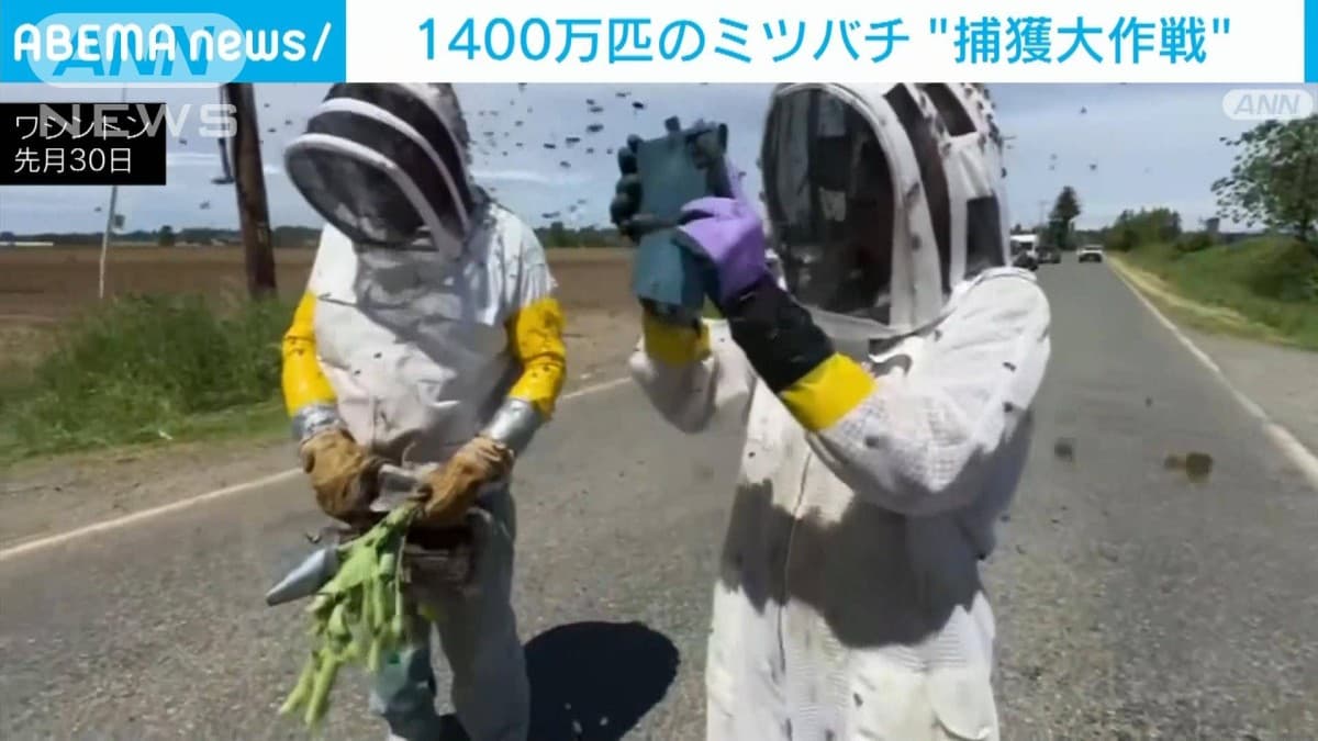 たくさんのミツバチがにげました