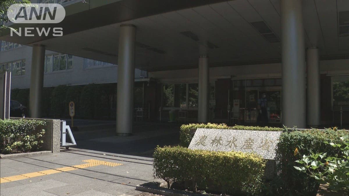 備蓄米の2割が店やレストランにとどきました