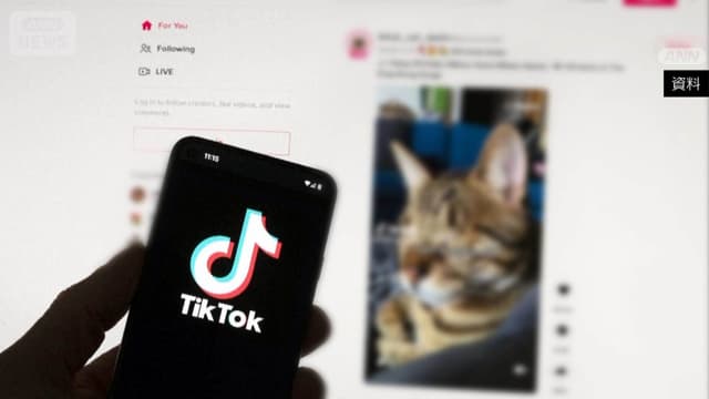 TikTokの<span class="jlpt-n4" word="アメリカ">アメリカ</span>の<ruby ><rb><span class="jlpt-n5" word="会社">会社</span></rb><rt>かいしゃ</rt></ruby>がオラクル<span class="jlpt-n5" word="など">など</span>にうられます
