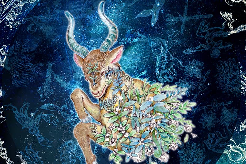 おうしざのはなし