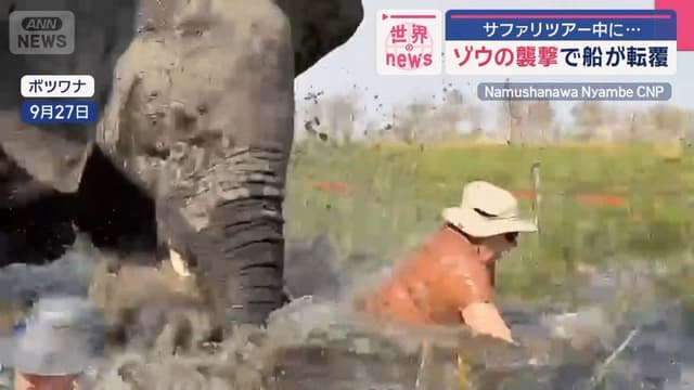 <ruby ><rb>ゾウ</rb><rt>ぞう</rt></ruby>が<span class="jlpt-n3" word="ボート">ボート</span>をおそいました