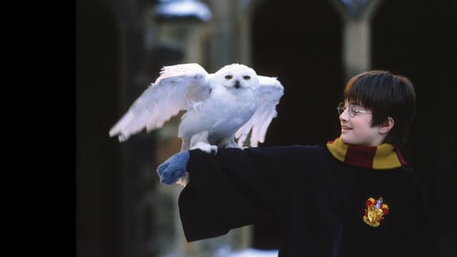 ハリー・ポッターは<span class="jlpt-n5" word="なぜ">なぜ</span><ruby ><rb><span class="jlpt-n3" word="人気">人気</span></rb><rt>にんき</rt></ruby>ですか