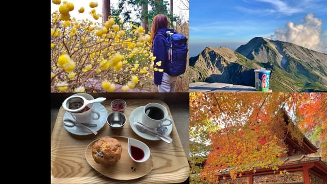 <ruby ><rb><span class="jlpt-n5" word="山">山</span></rb><rt>やま</rt></ruby><span class="" word="で">で</span><ruby ><rb><span class="" word="新">新</span></rb><rt>あたら</rt></ruby><span class="" word="し">し</span><span class="" word="い">い</span><ruby ><rb><span class="jlpt-n4" word="楽しみ">楽しみ</span></rb><rt>たのしみ</rt></ruby><span class="" word="を">を</span><ruby ><rb><span class="" word="見">見</span></rb><rt>み</rt></ruby><span class="" word="つ">つ</span><span class="" word="け">け</span><span class="" word="ま">ま</span><span class="" word="し">し</span><span class="" word="た">た</span>