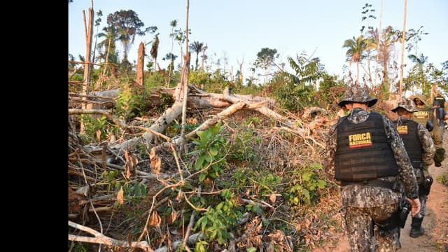 <span class="" word="ブ">ブ</span><span class="" word="ラ">ラ</span><span class="" word="ジ">ジ</span><span class="" word="ル">ル</span><span class="" word="、">、</span><span class="" word="2">2</span><span class="" word="0">0</span><span class="" word="3">3</span><span class="" word="0">0</span><ruby ><rb><span class="jlpt-n5" word="年">年</span></rb><rt>ねん</rt></ruby><span class="" word="ま">ま</span><span class="" word="で">で</span><span class="" word="に">に</span><ruby ><rb><span class="jlpt-n4" word="森">森</span></rb><rt>もり</rt></ruby><span class="" word="の">の</span><span class="" word="き">き</span><span class="" word="り">り</span><span class="" word="す">す</span><span class="" word="ぎ">ぎ</span><span class="" word="を">を</span><span class="" word="な">な</span><span class="" word="く">く</span><span class="" word="す">す</span><span class="" word="と">と</span><ruby ><rb><span class="" word="言">言</span></rb><rt>い</rt></ruby><span class="" word="い">い</span><span class="" word="ま">ま</span><span class="" word="す">す</span>