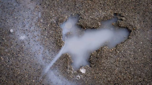 <span class="" word="シ">シ</span><span class="" word="カ">カ</span><span class="" word="ゴ">ゴ</span><span class="" word="の">の</span><ruby ><rb><span class="jlpt-n3" word="歩道">歩道</span></rb><rt>ほどう</rt></ruby><span class="" word="に">に</span><span class="" word="で">で</span><span class="" word="き">き</span><span class="" word="た">た</span><span class="" word="「">「</span><span class="" word="ネ">ネ</span><span class="" word="ズ">ズ</span><span class="" word="ミ">ミ</span><ruby ><rb><span class="jlpt-n4" word="形">形</span></rb><rt>がた</rt></ruby><span class="" word="」">」</span><span class="" word="の">の</span><ruby ><rb><span class="unknown" word="正体">正体</span></rb><rt>しょうたい</rt></ruby><span class="" word="は">は</span><span class="" word="リ">リ</span><span class="" word="ス">ス</span><span class="" word="だ">だ</span><span class="" word="っ">っ</span><span class="" word="た">た</span>