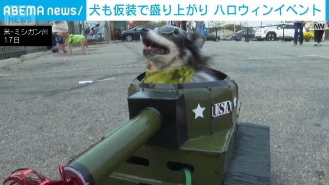 <ruby ><rb><span class="jlpt-n5" word="犬">犬</span></rb><rt>いぬ</rt></ruby><span class="" word="の">の</span><span class="" word="ハ">ハ</span><span class="" word="ロ">ロ</span><span class="" word="ウ">ウ</span><span class="" word="ィ">ィ</span><span class="" word="ン">ン</span><span class="" word="イ">イ</span><span class="" word="ベ">ベ</span><span class="" word="ン">ン</span><span class="" word="ト">ト</span>