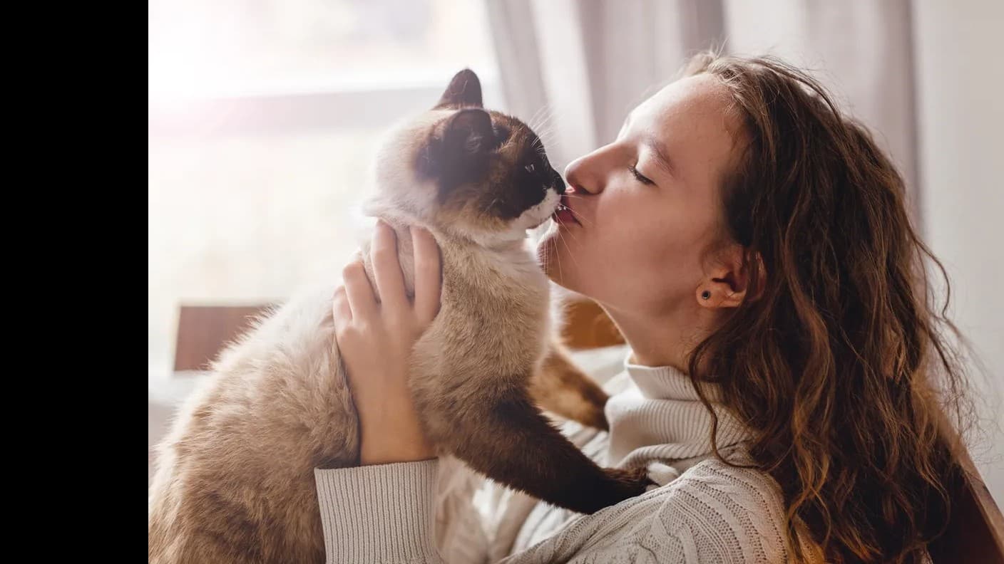 2025年の人気な猫の名前ベスト10