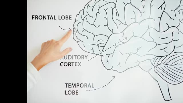 <span class="" word="デ">デ</span><span class="" word="ジ">ジ</span><span class="" word="タ">タ</span><span class="" word="ル">ル</span><span class="" word="に">に</span><ruby ><rb><span class="" word="頼">頼</span></rb><rt>たよ</rt></ruby><span class="" word="る">る</span><span class="" word="と">と</span><ruby ><rb><span class="jlpt-n1" word="脳">脳</span></rb><rt>のう</rt></ruby><span class="" word="が">が</span><ruby ><rb><span class="" word="早">早</span></rb><rt>はや</rt></ruby><span class="" word="く">く</span><ruby ><rb><span class="" word="老">老</span></rb><rt>ふ</rt></ruby><span class="" word="け">け</span><span class="" word="る">る</span><span class="" word="？">？</span>