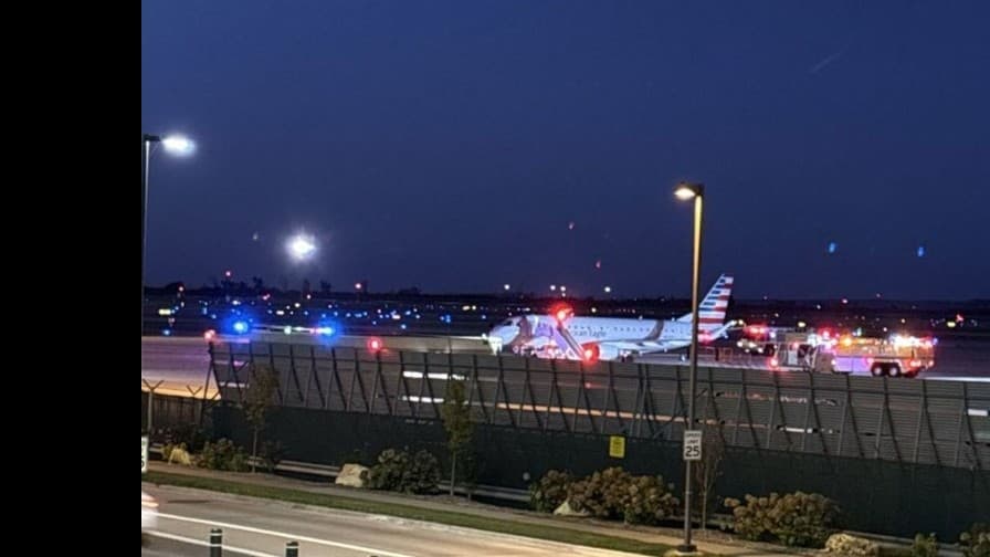 飛行機がすぐに着陸しました　客室乗務員と話せませんでした