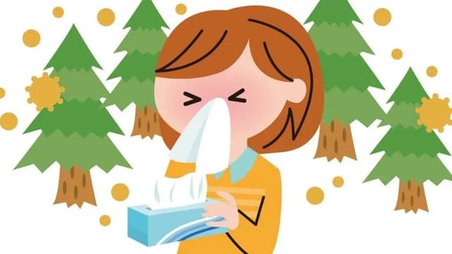 <ruby ><rb><span class="jlpt-n1" word="花粉">花粉</span></rb><rt>かふん</rt></ruby><span class="" word="に">に</span><ruby ><rb><span class="jlpt-n4" word="気">気</span></rb><rt>き</rt></ruby><span class="" word="を">を</span><span class="jlpt-n5" word="つける">つける</span><ruby ><rb><span class="jlpt-n3" word="方法">方法</span></rb><rt>ほうほう</rt></ruby>