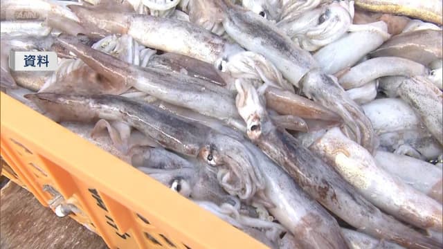 <span class="" word="ス">ス</span><span class="" word="ル">ル</span><span class="" word="メ">メ</span><span class="" word="イ">イ</span><span class="" word="カ">カ</span><span class="" word="の">の</span><span class="" word="と">と</span><span class="" word="り">り</span><span class="" word="す">す</span><span class="" word="ぎ">ぎ</span><span class="" word="で">で</span><ruby ><rb><span class="" word="小">小</span></rb><rt>ちい</rt></ruby><span class="" word="さ">さ</span><span class="" word="い">い</span><ruby ><rb><span class="" word="ふ">ふ</span><span class="" word="ね">ね</span></rb><rt>船</rt></ruby><span class="" word="の">の</span><ruby ><rb><span class="" word="り">り</span><span class="" word="ょ">ょ</span><span class="" word="う">う</span></rb><rt>量</rt></ruby><span class="" word="が">が</span><span class="" word="と">と</span><span class="" word="ま">ま</span><span class="" word="り">り</span><span class="" word="ま">ま</span><span class="" word="す">す</span>