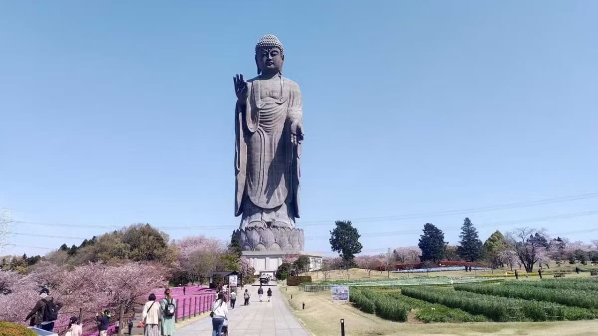 日本でいちばん大きい大仏
