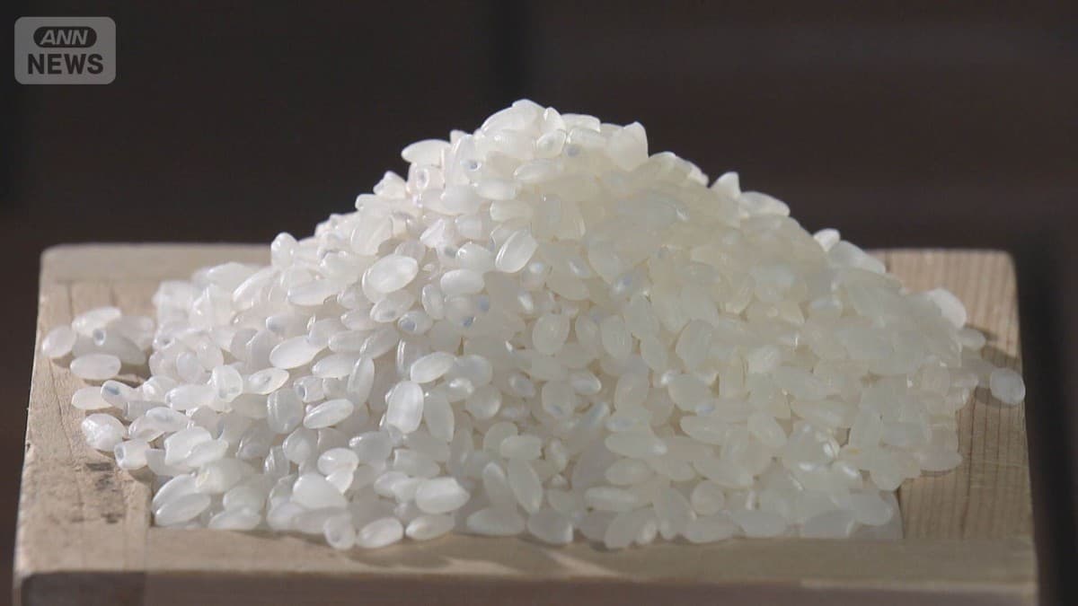 おこめのねだんがさがるかもしれません