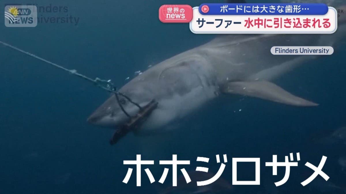 オーストラリアでサーファーがサメにおそわれる