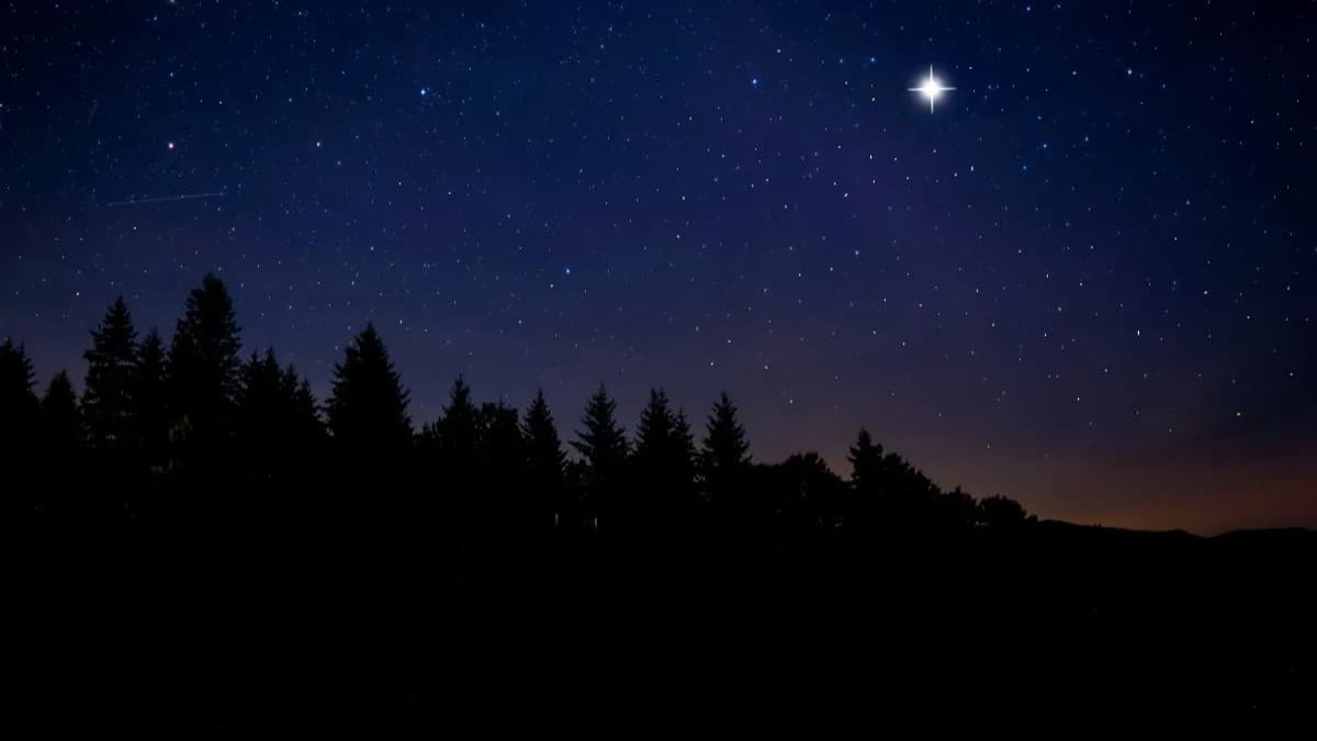 今月、東の空に見える明るい星は何？