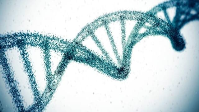 <ruby ><rb><span class="unknown" word="遺伝子">遺伝子</span></rb><rt>いでんし</rt></ruby><ruby ><rb><span class="jlpt-n2" word="編集">編集</span></rb><rt>へんしゅう</rt></ruby><span class="" word="で">で</span><span class="" word="コ">コ</span><span class="" word="レ">レ</span><span class="" word="ス">ス</span><span class="" word="テ">テ</span><span class="" word="ロ">ロ</span><span class="" word="ー">ー</span><span class="" word="ル">ル</span><span class="" word="を">を</span><ruby ><rb><span class="" word="下">下</span></rb><rt>さ</rt></ruby><span class="" word="げ">げ</span><span class="" word="る">る</span><ruby ><rb><span class="" word="新">新</span></rb><rt>あたら</rt></ruby><span class="" word="し">し</span><span class="" word="い">い</span><ruby ><rb><span class="jlpt-n1" word="治療">治療</span></rb><rt>ちりょう</rt></ruby>