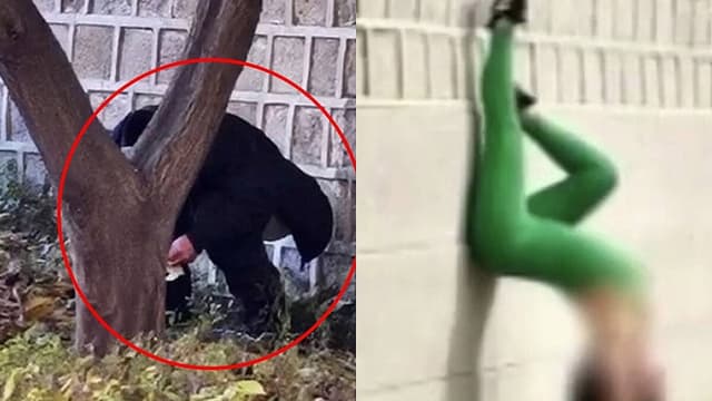 <ruby ><rb><span class="unknown" word="韓国">韓国</span></rb><rt>かんこく</rt></ruby><span class="" word="の">の</span><ruby ><rb><span class="jlpt-n5" word="有名">有名</span></rb><rt>ゆうめい</rt></ruby><span class="" word="な">な</span><ruby ><rb><span class="jlpt-n4" word="場所">場所</span></rb><rt>ばしょ</rt></ruby><span class="" word="で">で</span><ruby ><rb><span class="jlpt-n5" word="外国">外国</span><span class="jlpt-n5" word="人">人</span></rb><rt>がいこくじん</rt></ruby><ruby ><rb><span class="jlpt-n3" word="観光">観光</span><span class="jlpt-n4" word="客">客</span></rb><rt>かんこうきゃく</rt></ruby><span class="" word="が">が</span><span class="" word="マ">マ</span><span class="" word="ナ">ナ</span><span class="" word="ー">ー</span><span class="" word="を">を</span><ruby ><rb><span class="" word="守">守</span></rb><rt>まも</rt></ruby><span class="" word="ら">ら</span><span class="" word="な">な</span><span class="" word="い">い</span>