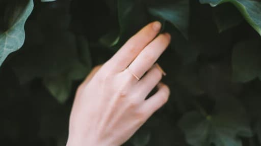 きれいな手のつくりかた