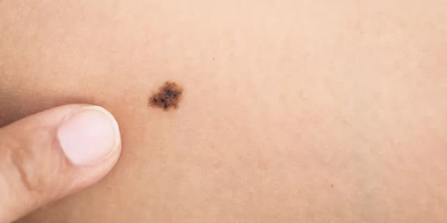 <span class="" word="ほ">ほ</span><span class="" word="く">く</span><span class="" word="ろ">ろ</span><span class="" word="は">は</span><span class="jlpt-n5" word="どうして">どうして</span><span class="jlpt-n5" word="できる">できる</span><span class="" word="の">の</span><span class="" word="？">？</span>