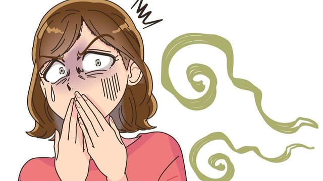 <span class="jlpt-n5" word="なぜ">なぜ</span><span class="" word="く">く</span><span class="" word="さ">さ</span><span class="" word="い">い</span><span class="" word="に">に</span><span class="" word="お">お</span><span class="" word="い">い</span><span class="" word="が">が</span><span class="" word="わ">わ</span><span class="" word="か">か</span><span class="" word="り">り</span><span class="" word="ま">ま</span><span class="" word="す">す</span><span class="" word="か">か</span>