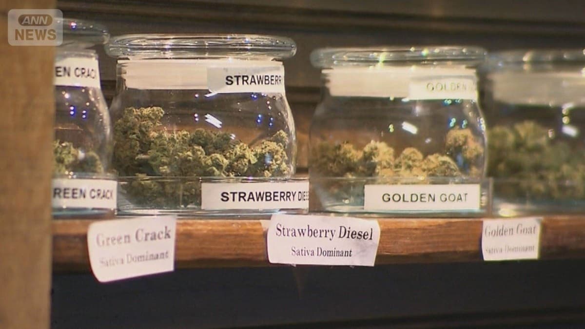 アメリカでお酒を飲む人が少なくなり、大麻を使う人がふえています