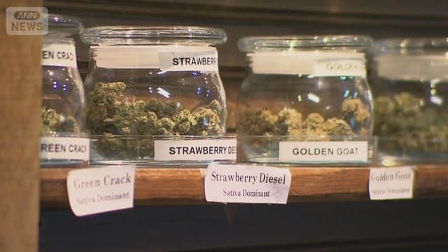 <ruby ><rb><span class="jlpt-n4" word="アメリカ">アメリカ</span></rb><rt>あめりか</rt></ruby><span class="" word="で">で</span><span class="jlpt-n3" word="お">お</span><ruby ><rb><span class="jlpt-n3" word="酒">酒</span></rb><rt>さけ</rt></ruby><span class="" word="を">を</span><ruby ><rb><span class="" word="飲">飲</span></rb><rt>の</rt></ruby><span class="" word="む">む</span><ruby ><rb><span class="jlpt-n5" word="人">人</span></rb><rt>ひと</rt></ruby><span class="" word="が">が</span><ruby ><rb><span class="" word="少">少</span></rb><rt>すく</rt></ruby><span class="" word="な">な</span><span class="" word="く">く</span><span class="" word="な">な</span><span class="" word="り">り</span><span class="" word="、">、</span><ruby ><rb><span class="unknown" word="大麻">大麻</span></rb><rt>たいま</rt></ruby><span class="" word="を">を</span><ruby ><rb><span class="" word="使">使</span></rb><rt>つか</rt></ruby><span class="" word="う">う</span><ruby ><rb><span class="" word="人">人</span></rb><rt>ひと</rt></ruby><span class="" word="が">が</span><span class="" word="ふ">ふ</span><span class="" word="え">え</span><span class="" word="て">て</span><span class="" word="い">い</span><span class="" word="ま">ま</span><span class="" word="す">す</span>