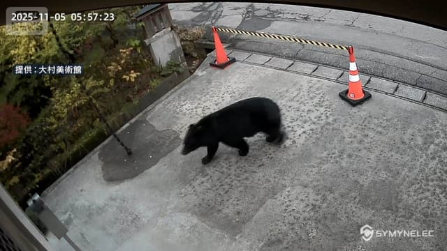 <ruby ><rb><span class="" word="ク">ク</span><span class="" word="マ">マ</span></rb><rt>クマ</rt></ruby><span class="" word="が">が</span><ruby ><rb><span class="" word="出">出</span></rb><rt>で</rt></ruby><span class="" word="た">た</span><span class="" word="と">と</span><span class="" word="き">き</span><span class="" word="の">の</span><span class="" word="た">た</span><span class="" word="め">め</span><span class="" word="の">の</span><ruby ><rb><span class="" word="新">新</span></rb><rt>あたら</rt></ruby><span class="" word="し">し</span><span class="" word="い">い</span><ruby ><rb><span class="jlpt-n1" word="保険">保険</span></rb><rt>ほけん</rt></ruby>