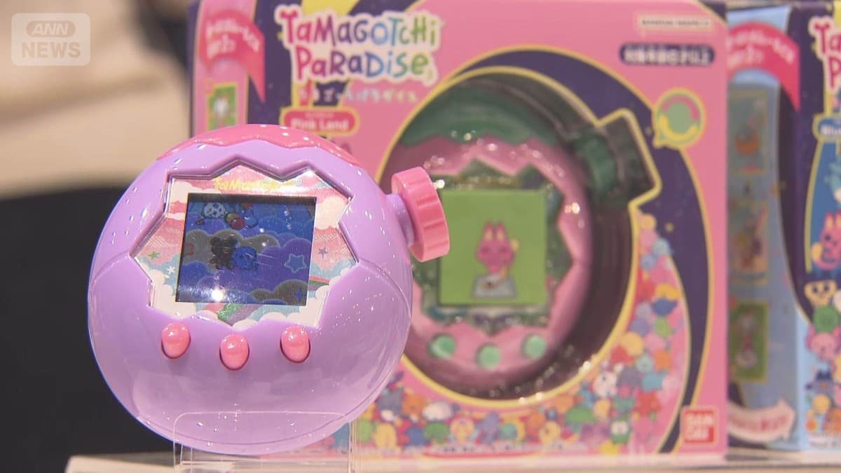 大人も楽しむおもちゃが人気です