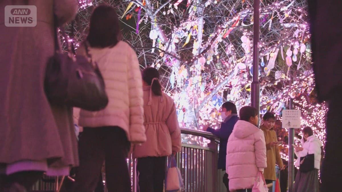 目黒川のさくら色のライト