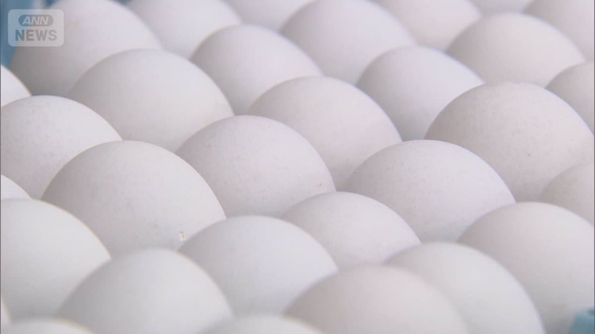 たまごのねだんがとても高くなりました