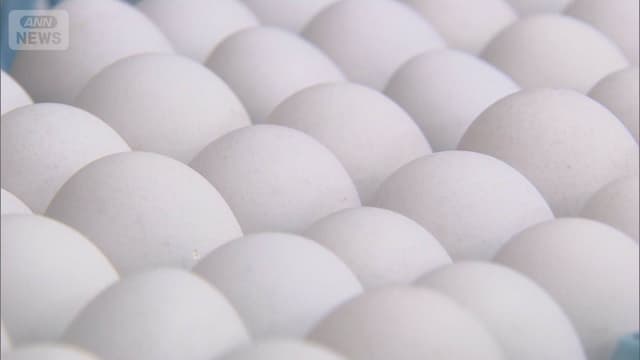 <span class="" word="た">た</span><span class="" word="ま">ま</span><span class="" word="ご">ご</span><span class="" word="の">の</span><span class="" word="ね">ね</span><span class="" word="だ">だ</span><span class="" word="ん">ん</span><span class="" word="が">が</span><span class="jlpt-n5" word="とても">とても</span><ruby><rb><span class="" word="高">高</span></rb><rt>たか</rt></ruby><span class="" word="く">く</span><span class="" word="な">な</span><span class="" word="り">り</span><span class="" word="ま">ま</span><span class="" word="し">し</span><span class="" word="た">た</span>