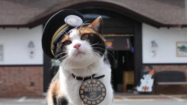 和歌山電鉄の駅長猫ニタマが亡くなる
