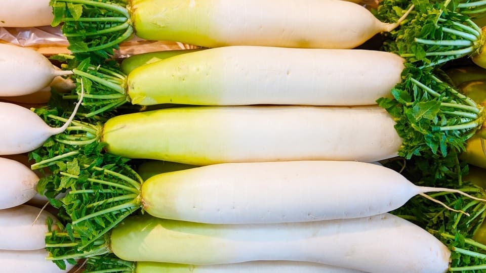 日本でおいしい大根を選ぶポイント