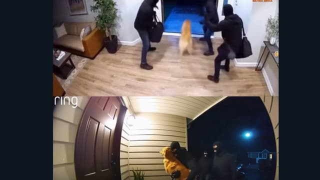 <ruby><rb><span class="jlpt-n5" word="犬">犬</span></rb><rt>いぬ</rt></ruby><span class="" word="が">が</span><ruby><rb><span class="jlpt-n5" word="家族">家族</span></rb><rt>かぞく</rt></ruby><span class="" word="を">を</span><ruby><rb><span class="" word="守">守</span></rb><rt>まも</rt></ruby><span class="" word="っ">っ</span><span class="" word="た">た</span><ruby><rb><span class="jlpt-n5" word="話">話</span></rb><rt>はなし</rt></ruby>