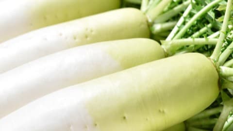 <span class="jlpt-n5" word="おいしい">おいしい</span><ruby ><rb><span class="unknown" word="大根">大根</span></rb><rt>だいこん</rt></ruby><span class="" word="の">の</span><span class="" word="え">え</span><span class="" word="ら">ら</span><span class="" word="び">び</span><ruby ><rb><span class="jlpt-n5" word="方">方</span></rb><rt>かた</rt></ruby>