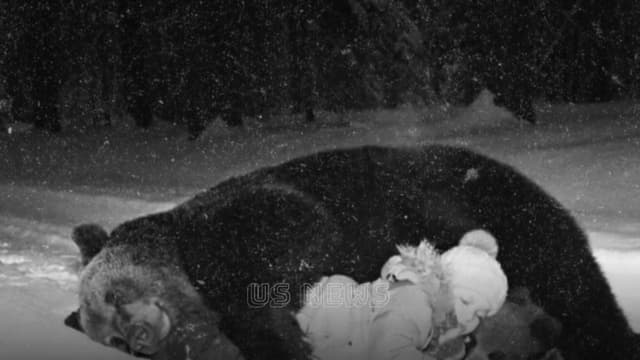 <span class="" word="ア">ア</span><span class="" word="ラ">ラ</span><span class="" word="ス">ス</span><span class="" word="カ">カ</span><span class="" word="の">の</span><ruby><rb><span class="jlpt-n4" word="森">森</span></rb><rt>もり</rt></ruby><span class="" word="で">で</span><ruby><rb><span class="" word="グ">グ</span><span class="" word="マ">マ</span></rb><rt>グマ</rt></ruby><span class="" word="に">に</span><ruby><rb><span class="" word="守">守</span></rb><rt>まも</rt></ruby><span class="" word="ら">ら</span><span class="" word="れ">れ</span><span class="" word="た">た</span><ruby><rb><span class="jlpt-n3" word="少女">少女</span></rb><rt>しょうじょ</rt></ruby>