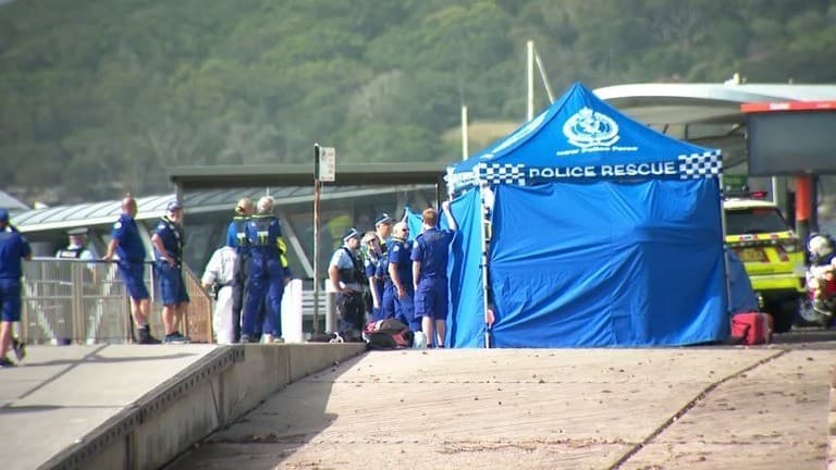 シドニーの海でサメの事故が続く　2人が重体、海岸が閉鎖