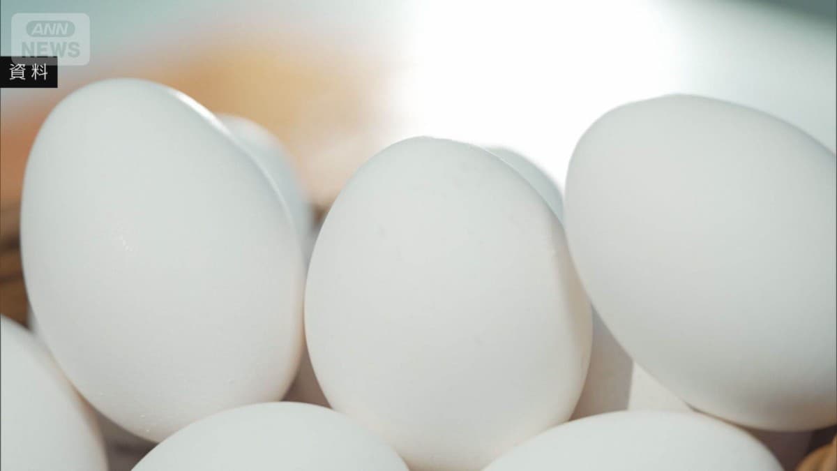 卵1パックの値段が306円に　6か月つづけて300円より高い